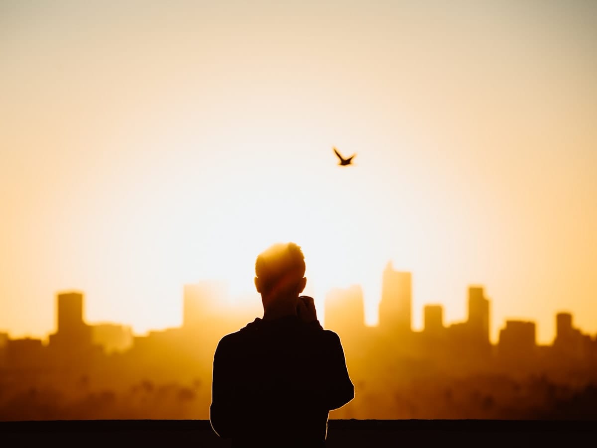 A quiet moment of clarity at sunset
